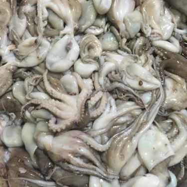 Tổng hợp- Nhà Hàng Hoa Biển