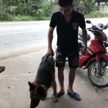 Tổng hợp- Quán Ăn Lâm Hường Quán - Cá Quả Nấu Ám