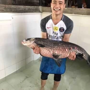 Tổng hợp- Nhà Hàng Món Việt - Vườn Ẩm Thực Gia Đình