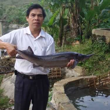 Không gian- Nhà Hàng Cá Hồi Chợ Đồn - Tân Lập