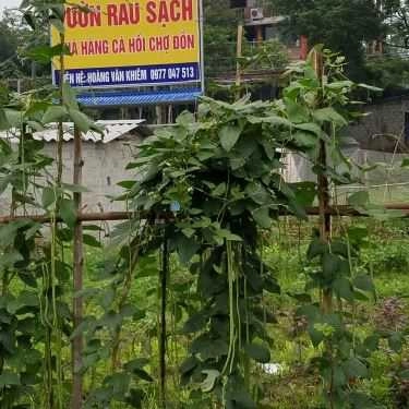 Không gian- Nhà Hàng Cá Hồi Chợ Đồn - Tân Lập
