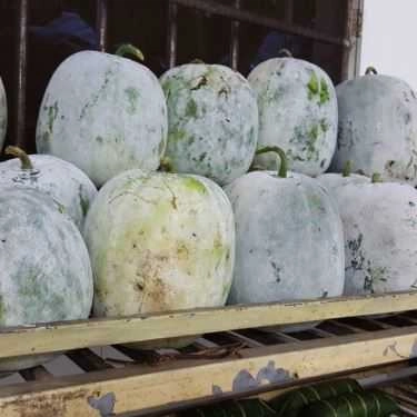 Tổng hợp- Nhà Hàng Cá Hồi Chợ Đồn - Tân Lập