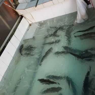 Tổng hợp- Nhà Hàng Cá Hồi Chợ Đồn - Tân Lập