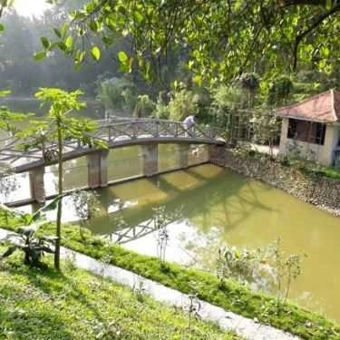 Tổng hợp- Nhà Hàng Quán Nhà Tôi - Ẩm Thực Đồng Quê