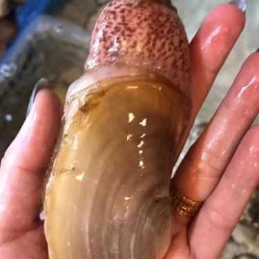 Tổng hợp- Quán Ăn Thiên Đường Ốc