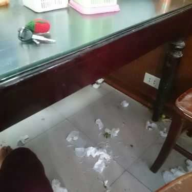 Tổng hợp- Nhà Hàng Bún Bò Huế Quý Tâm