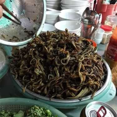 Món ăn- Quán Ăn Cô Thao - Cháo Lươn & Nem Chua