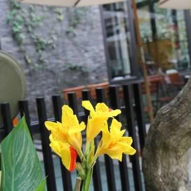 Không gian- G.Houzz Cafe