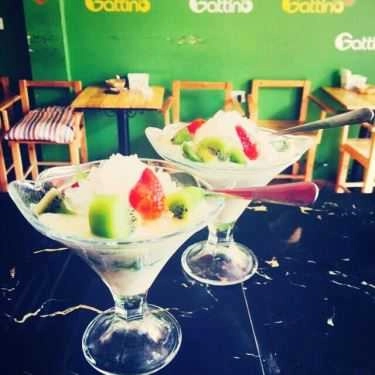 Tổng hợp- Gattino Cafe - Phan Bội Châu