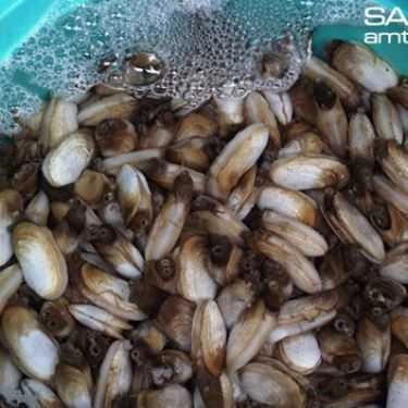 Tổng hợp- Quán Ăn Hải Sản Cua Vàng