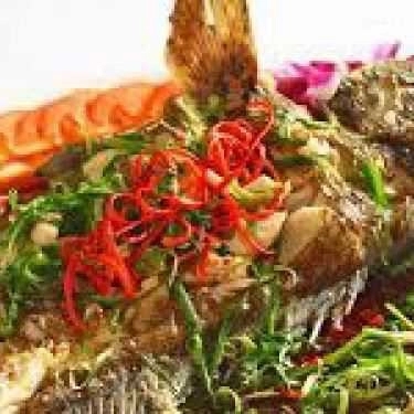Tổng hợp- Quán Ăn Hải Sản Cua Vàng