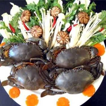 Tổng hợp- Quán Ăn Hải Sản Cua Vàng