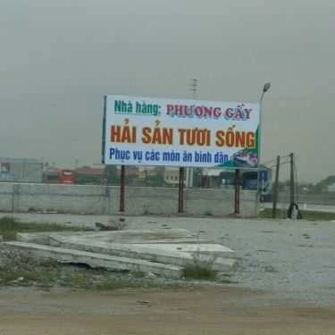 Tổng hợp- Nhà Hàng Phương Gầy - Hải Sản Tươi Sống