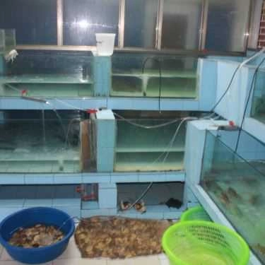 Tổng hợp- Cỏ Xanh - Nhà Hàng Hải Sản