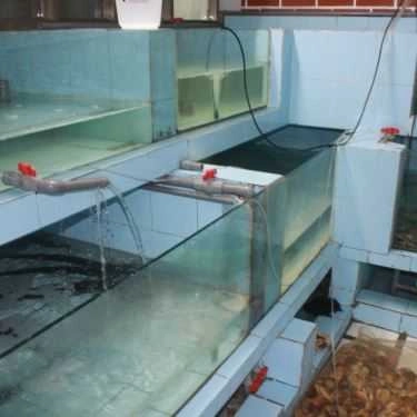 Tổng hợp- Cỏ Xanh - Nhà Hàng Hải Sản