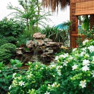 Tổng hợp- Nhà Hàng Đồng Xanh - Ẩm Thực Quê Hương