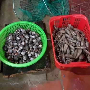 Tổng hợp- Nhà Hàng Hải Sản Thắng Hương