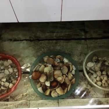Tổng hợp- Quán Ăn Khánh Chi - Hải Sản Sầm Sơn