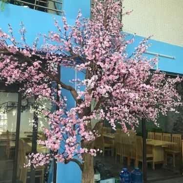Tổng hợp- Quán Ăn Hương Cảng - Lẩu Hơi