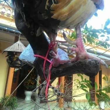 Tổng hợp- Nhà Hàng Vũ Bảo - Quốc Lộ 47