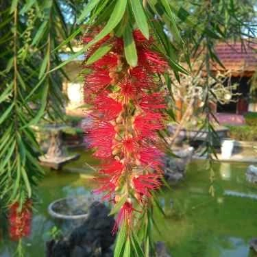 Tổng hợp- Nhà Hàng Vũ Bảo - Quốc Lộ 47