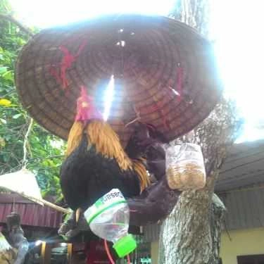 Tổng hợp- Nhà Hàng Vũ Bảo - Quốc Lộ 47