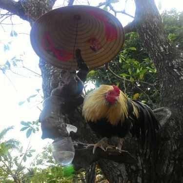 Tổng hợp- Nhà Hàng Vũ Bảo - Quốc Lộ 47