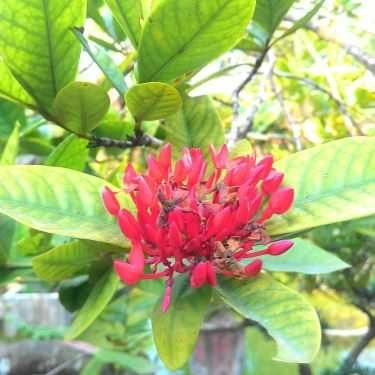 Tổng hợp- Nhà Hàng Vũ Bảo - Quốc Lộ 47
