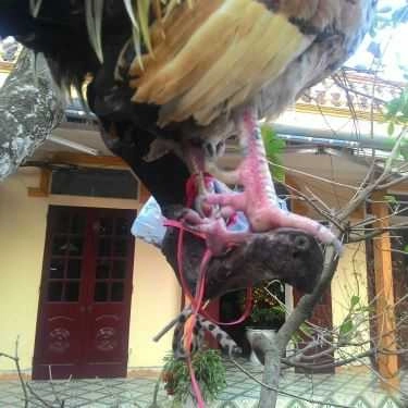 Tổng hợp- Nhà Hàng Vũ Bảo - Quốc Lộ 47