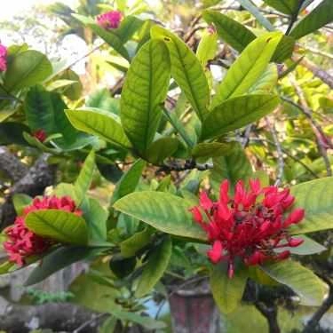Tổng hợp- Nhà Hàng Vũ Bảo - Quốc Lộ 47