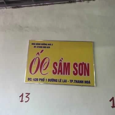 Tổng hợp- Nhà Hàng Hương Hòa - Ốc Sầm Sơn