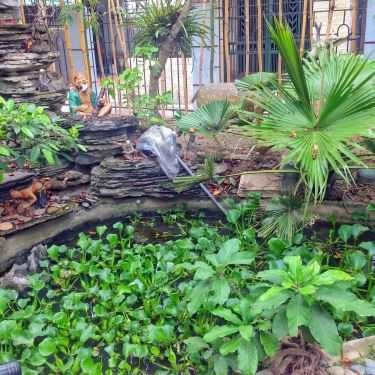 Tổng hợp- Quán Ăn Thanh Thanh Ngoan - Phở Nhà Sàn