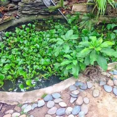 Tổng hợp- Quán Ăn Thanh Thanh Ngoan - Phở Nhà Sàn
