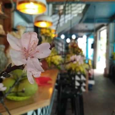 Không gian- Cafe The New Moon Kaffe