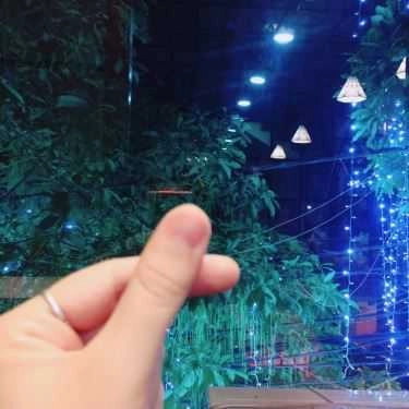 Tổng hợp- Cafe Trà Sữa GongCha HongKong