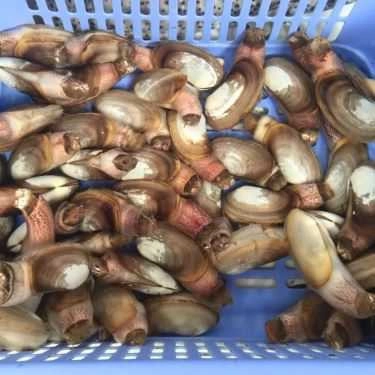 Tổng hợp- Nhà Hàng Vũ Gia Viên - Tinh Hoa Ẩm Thực Việt
