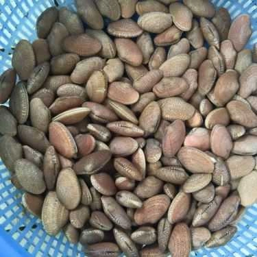 Tổng hợp- Nhà Hàng Vũ Gia Viên - Tinh Hoa Ẩm Thực Việt