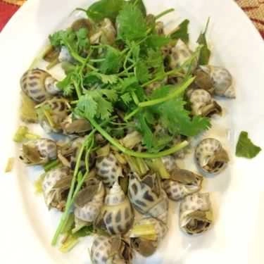 Tổng hợp- Nhà Hàng Thái Sơn Restaurant