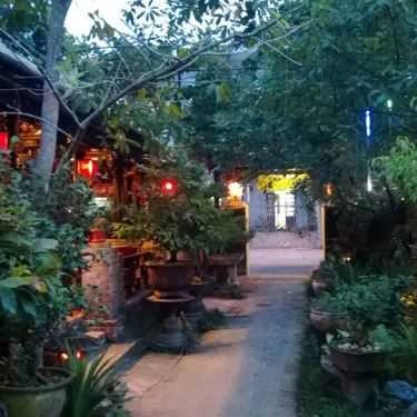 Tổng hợp- Vườn Tùng Cafe
