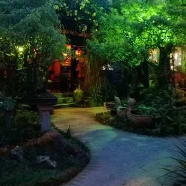 Tổng hợp- Vườn Tùng Cafe