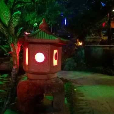 Tổng hợp- Vườn Tùng Cafe