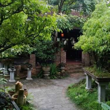 Tổng hợp- Vườn Tùng Cafe