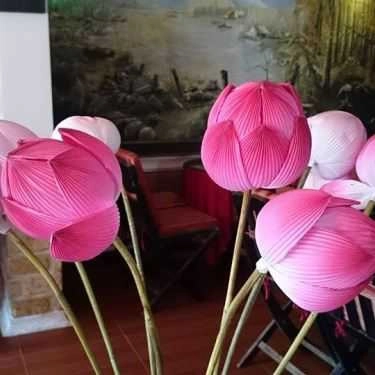Tổng hợp- Vườn Tùng Cafe