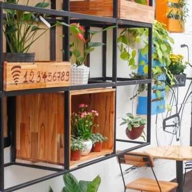 Professional- Đồng Lan Cafe