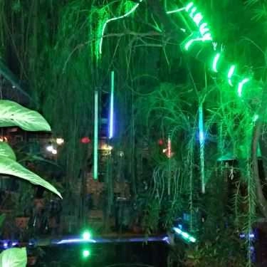 Tổng hợp- Ana Cafe