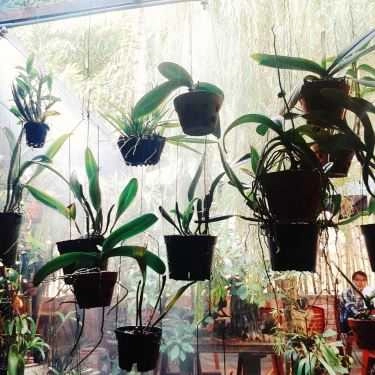 Tổng hợp- Ana Cafe