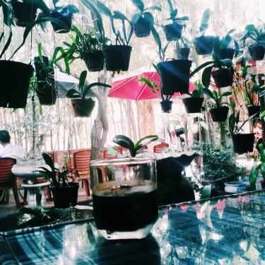 Tổng hợp- Ana Cafe