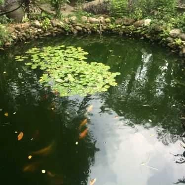 Tổng hợp- Nhà Hàng Ancient Huế Restaurant