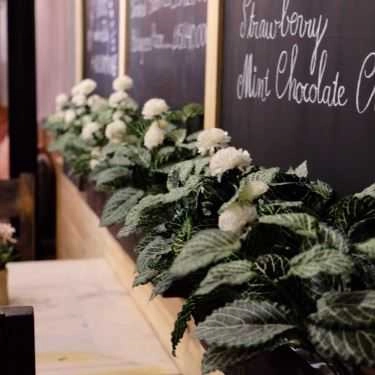 Tổng hợp- Aroma Coffee
