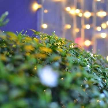 Tổng hợp- Aroma Coffee